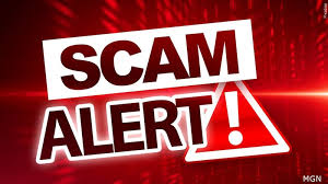 Scam Detection Web App